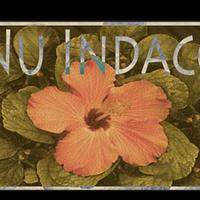 Nu Indaco资料,Nu Indaco最新歌曲,Nu IndacoMV视频,Nu Indaco音乐专辑,Nu Indaco好听的歌