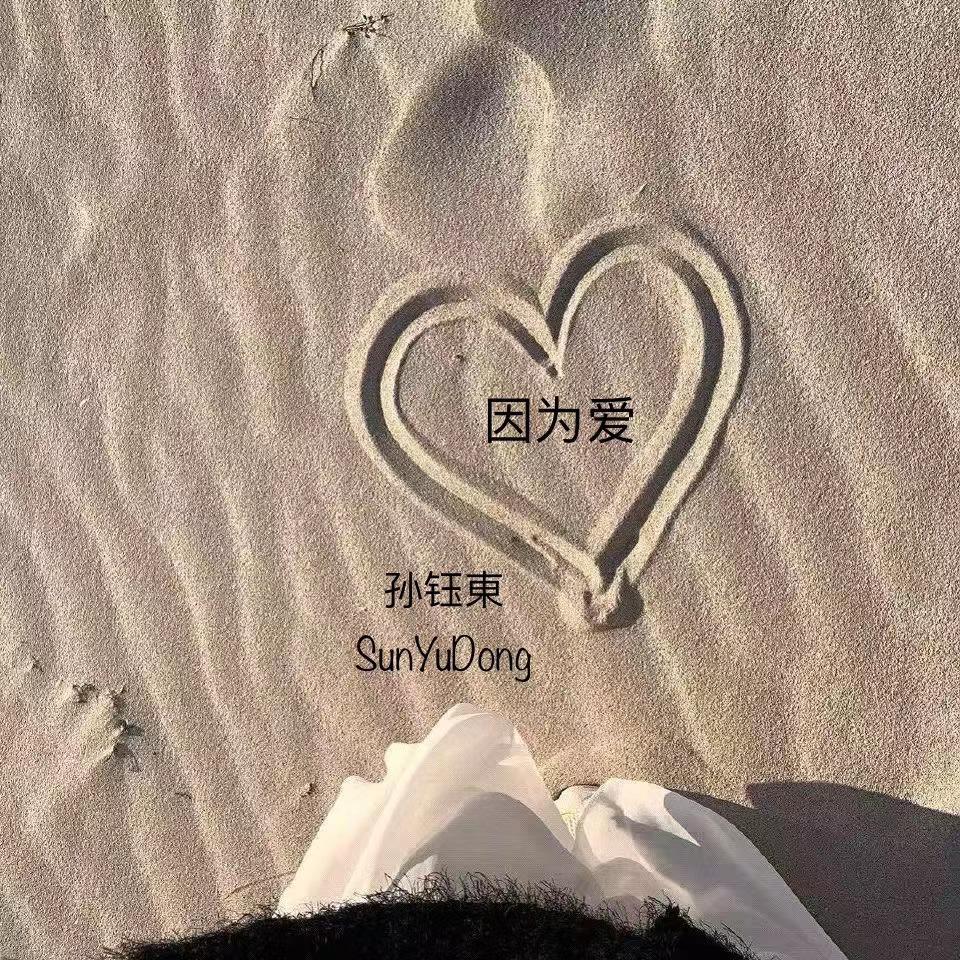 我爱你就像风云走了千万里封面