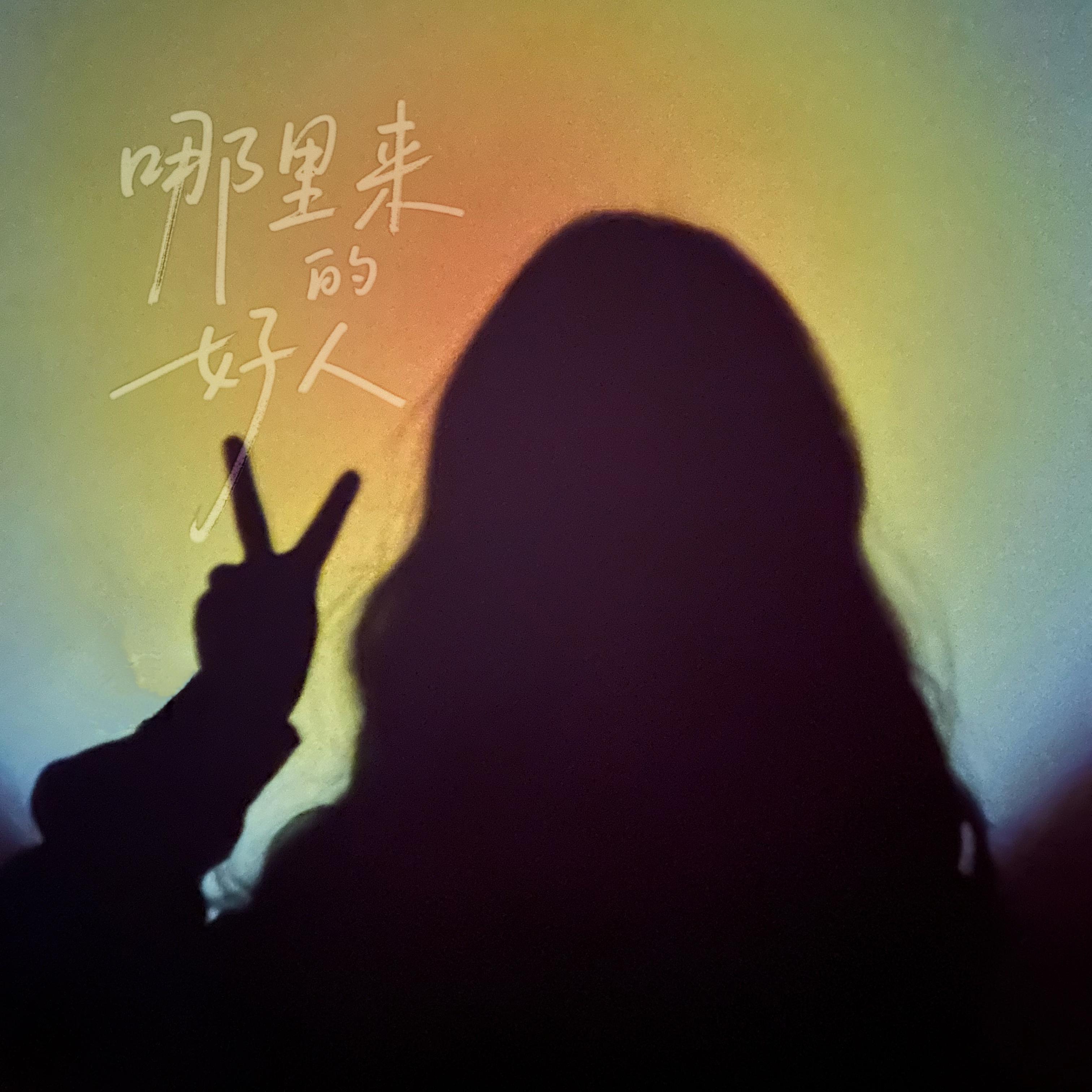 哪里来的好人封面