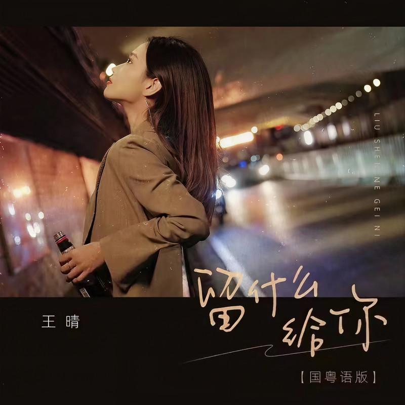 留什么给你 (国粤语DJ阿本版)封面