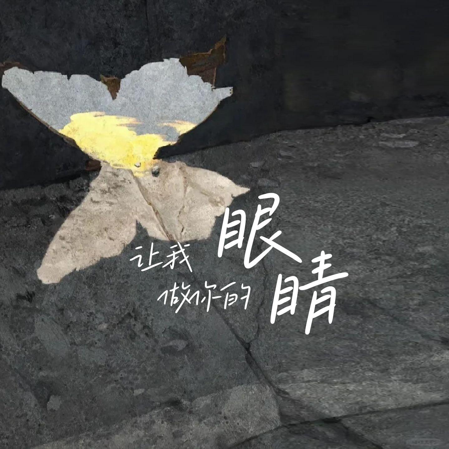 让我做你的眼睛（伴奏）封面