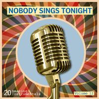 Nobody Sings Tonight: Great Instrumentals Vol. 12