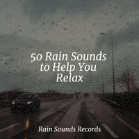 50 Rain Sounds to Help You Relax