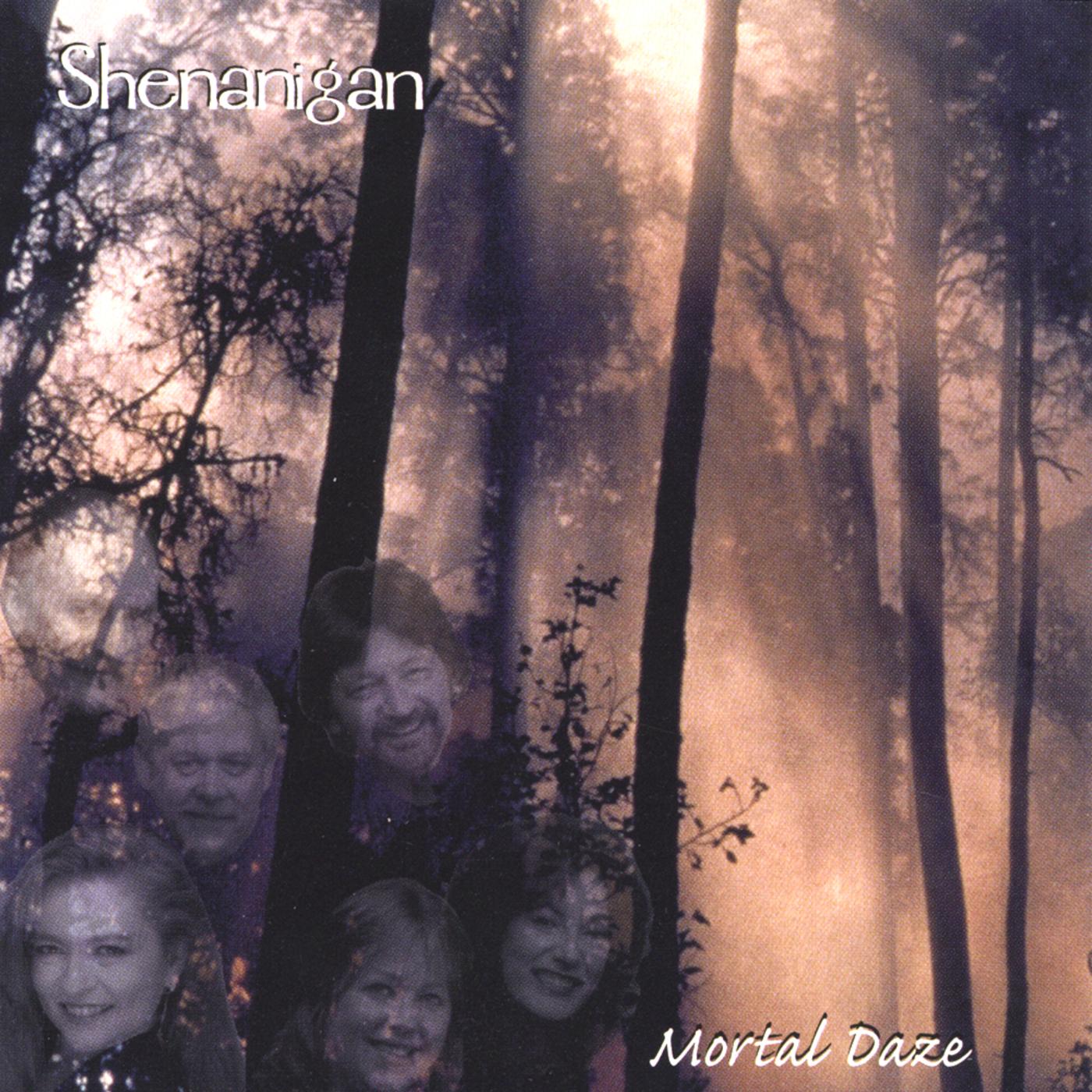 Tommy Coen's/The Sally Gardens/The Gravel Walk (reels)