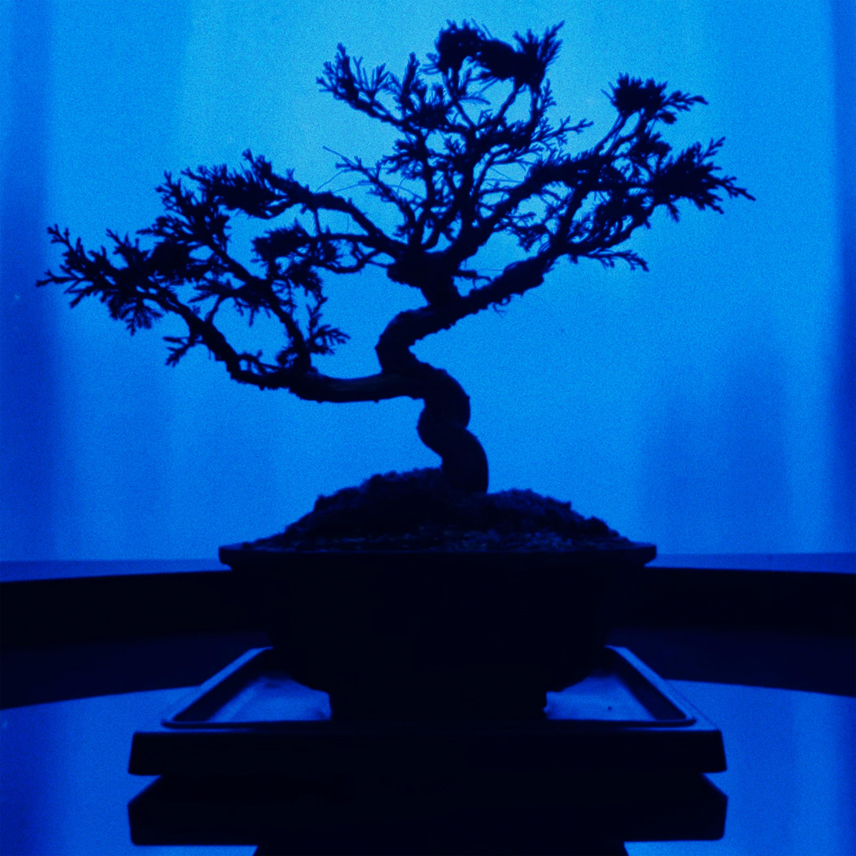 DUSTY (feat. DJ Vamos)