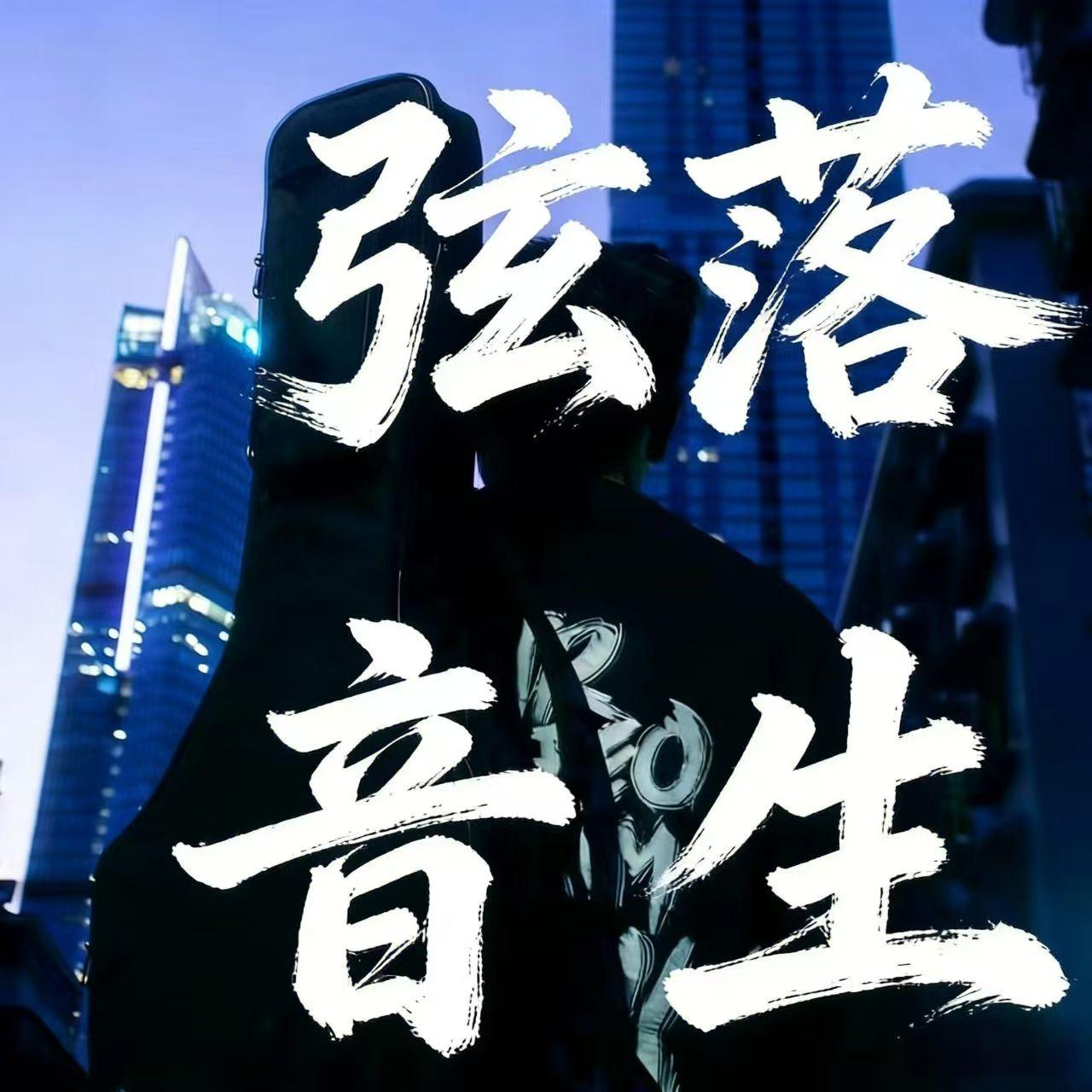 锦瑟华年封面