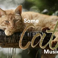 Some Relaxing Music for Cats