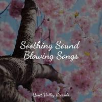 Soothing Sound Blowing Songs