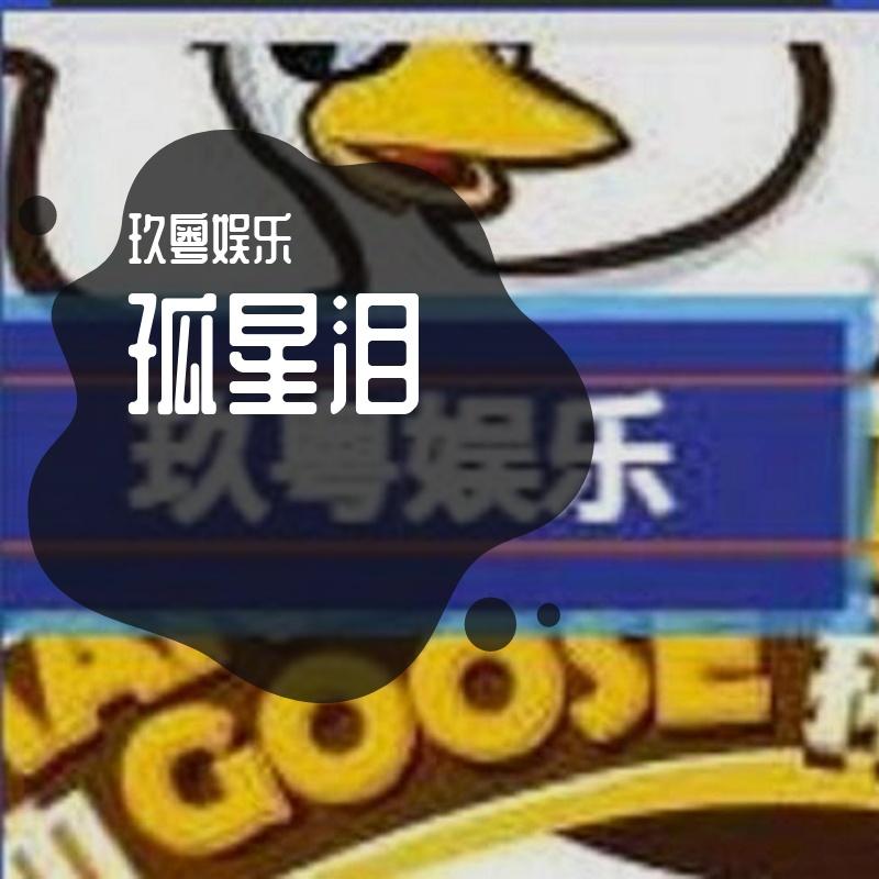 孤星泪封面