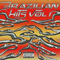 Brazilian Hits Vol 1