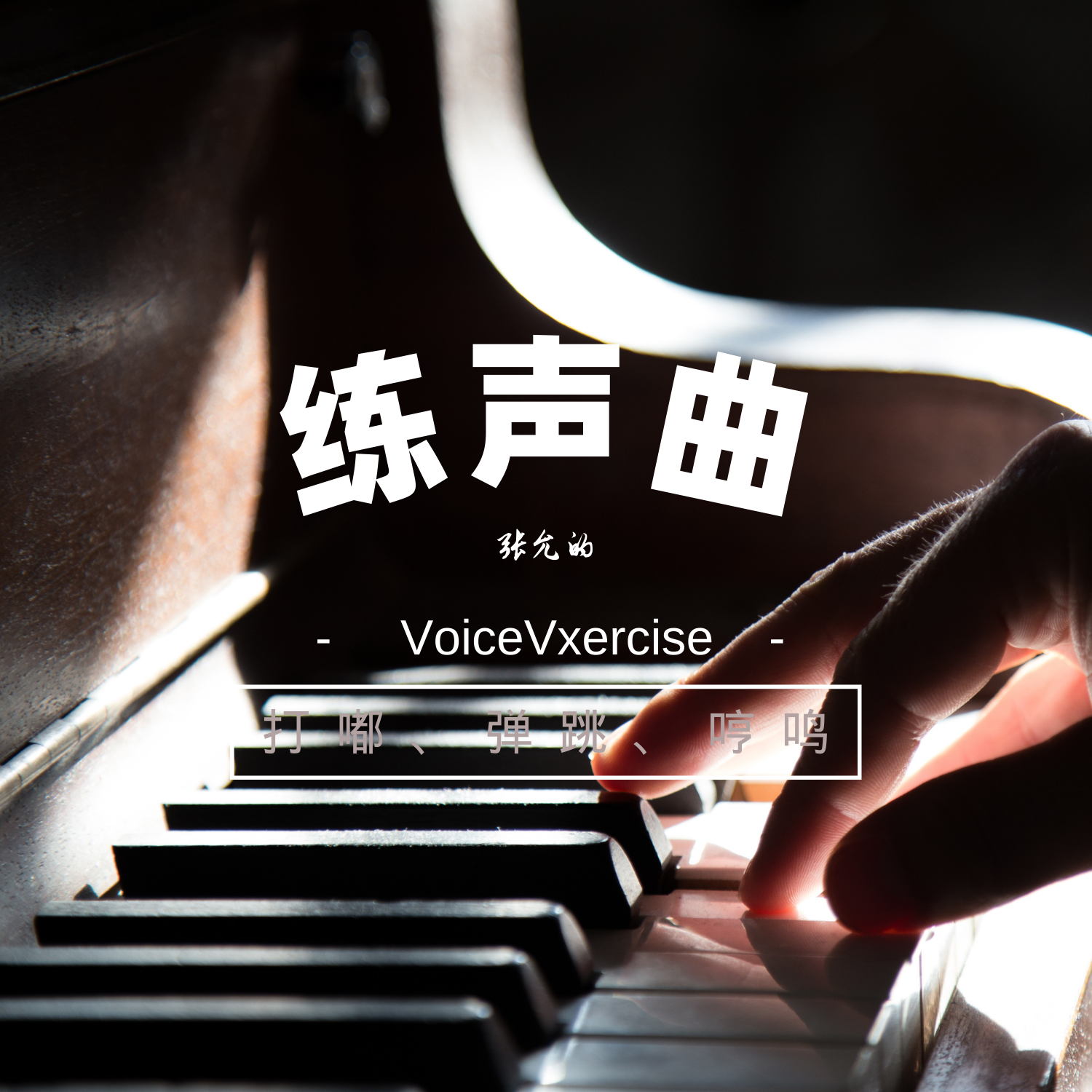 打嘟练习(Live版) - 张允封面