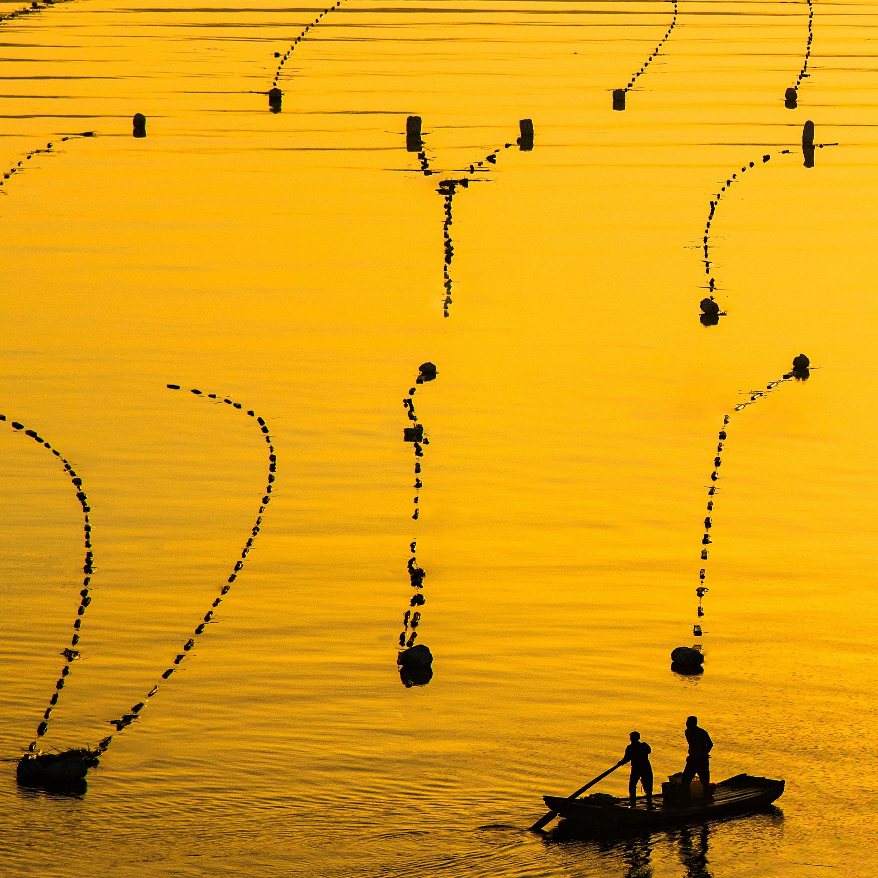 Blueberry Faygo (Slowed)