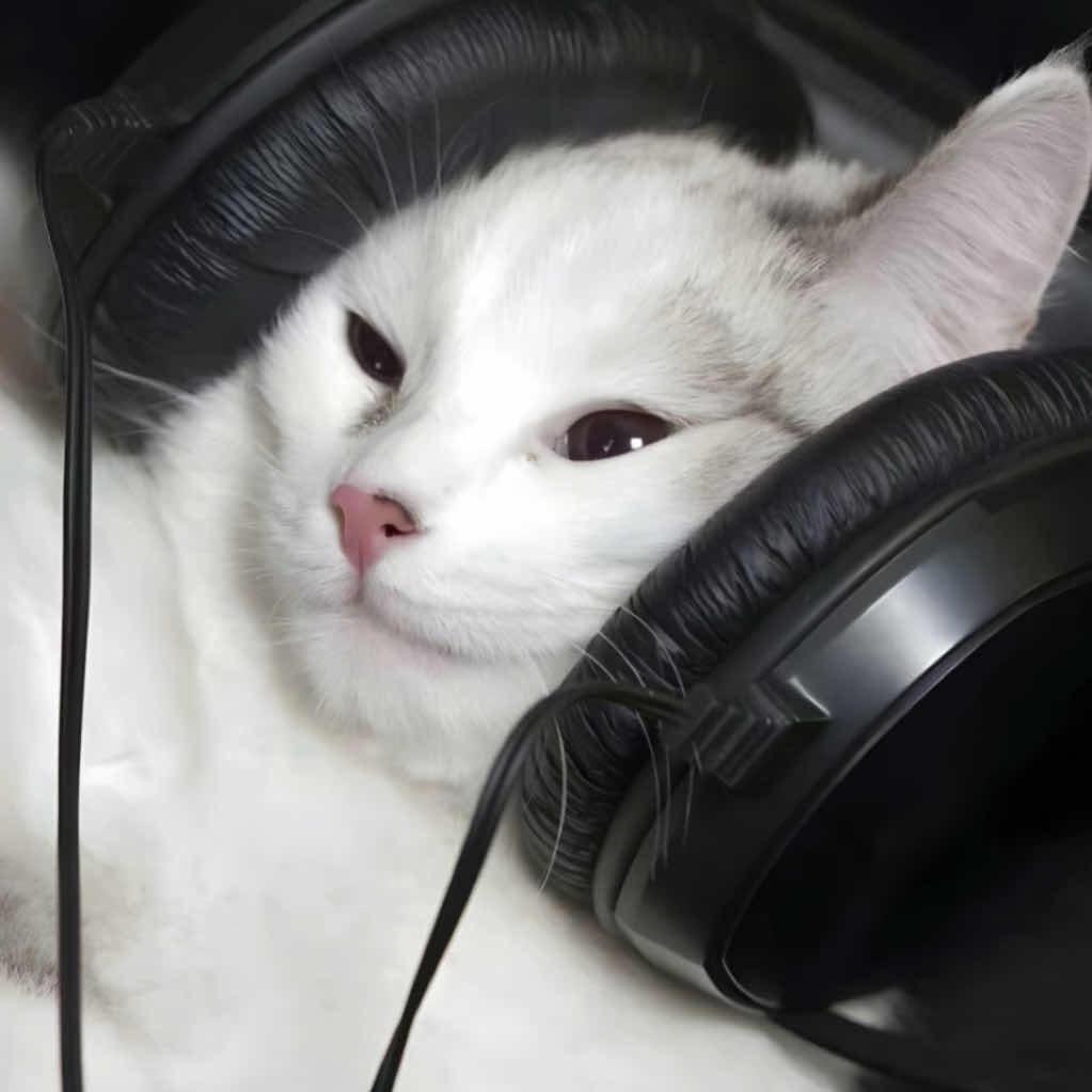 雨爱 cover 杨丞琳