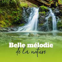 Belle mélodie de la nature (Musique pour l'esprit, Le corps et l'âme)