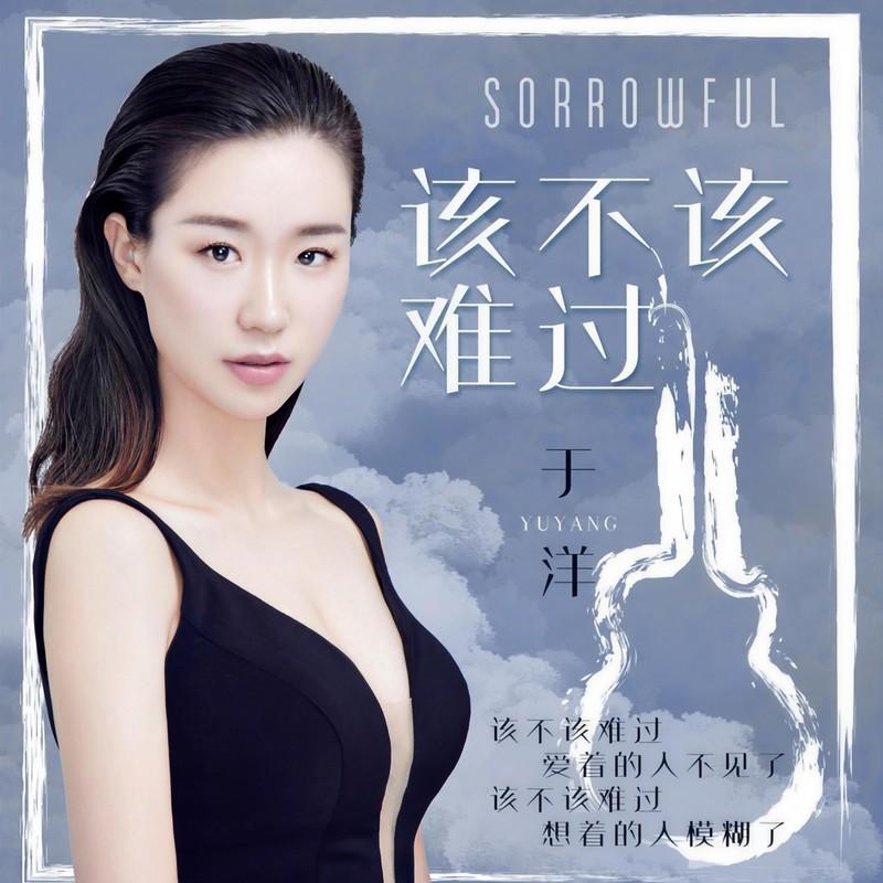 该不该难过(DJ版)封面