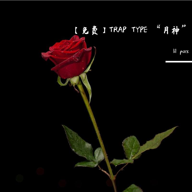 【免费】TRAP TYPE “月神”
