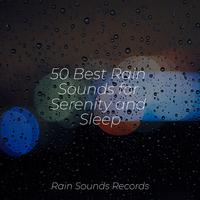 50 Best Rain Sounds for Serenity and Sleep