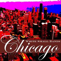 Chicago White Small Bands