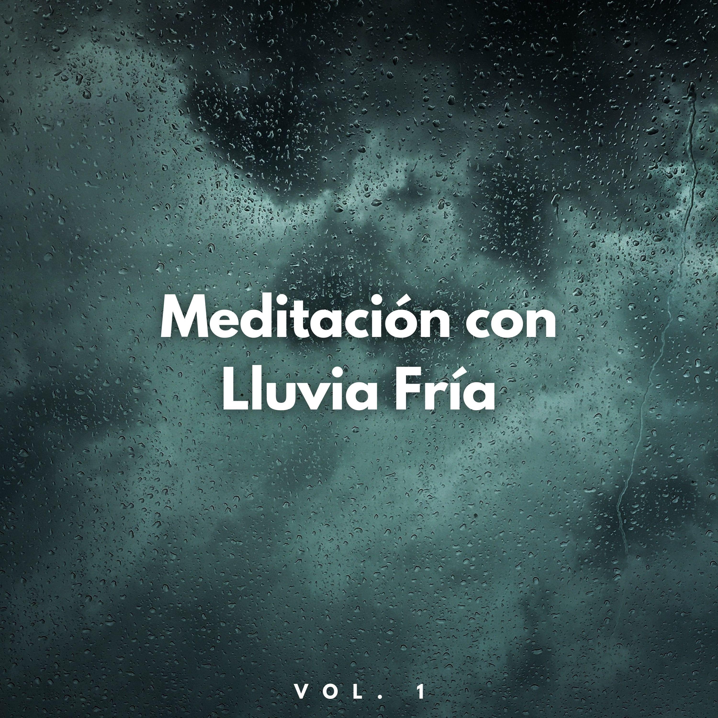 Miles De Gotas Relajantes_Meditaciones de lluvia_Meditación Con Lluvia Fría Vol. 1 | 在线播放_Miles De Gotas Relajantes歌词_Miles De Gotas Relajantes下载 | 网易云音乐
