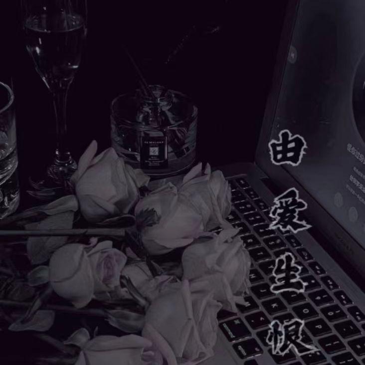 由爱生恨读文版封面