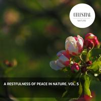 A Restfulness of Peace in Nature, Vol. 5