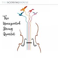 The Unexpected String Quartet