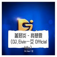 盖君炎 - 我想要(DJ.Eivin一文 Official Mix)