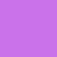 LILY333