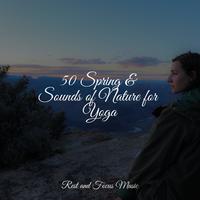 50 Spring & Sounds of Nature for Yoga