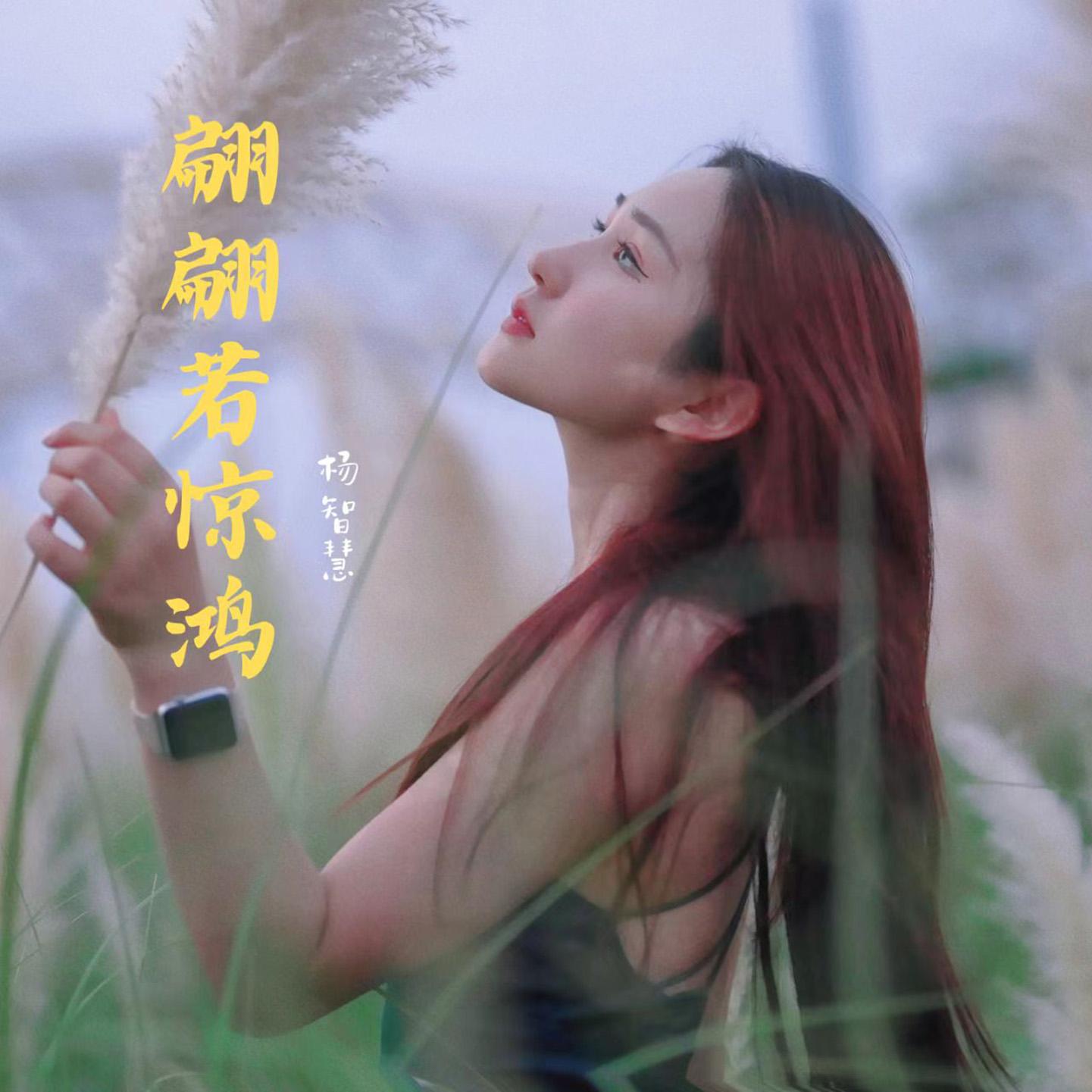 翩翩若惊鸿 (伴奏)