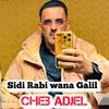 Cheb Adjel - Sidi Rabi wana Galile