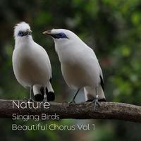 Nature: Singing Birds Beautiful Chorus Vol. 1