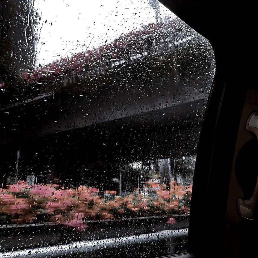 写在风中的信（0.8 ×）