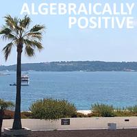 Algebraically Positive