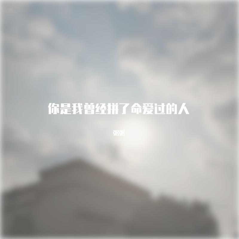 你是我曾经拼了命爱过的人封面
