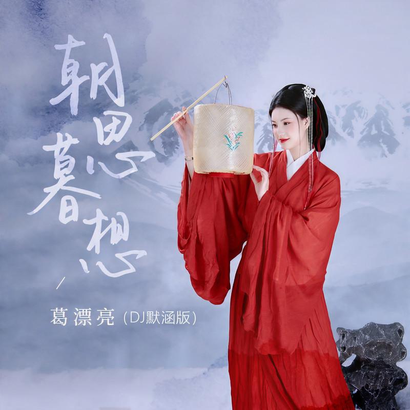朝思暮想(DJ版)封面