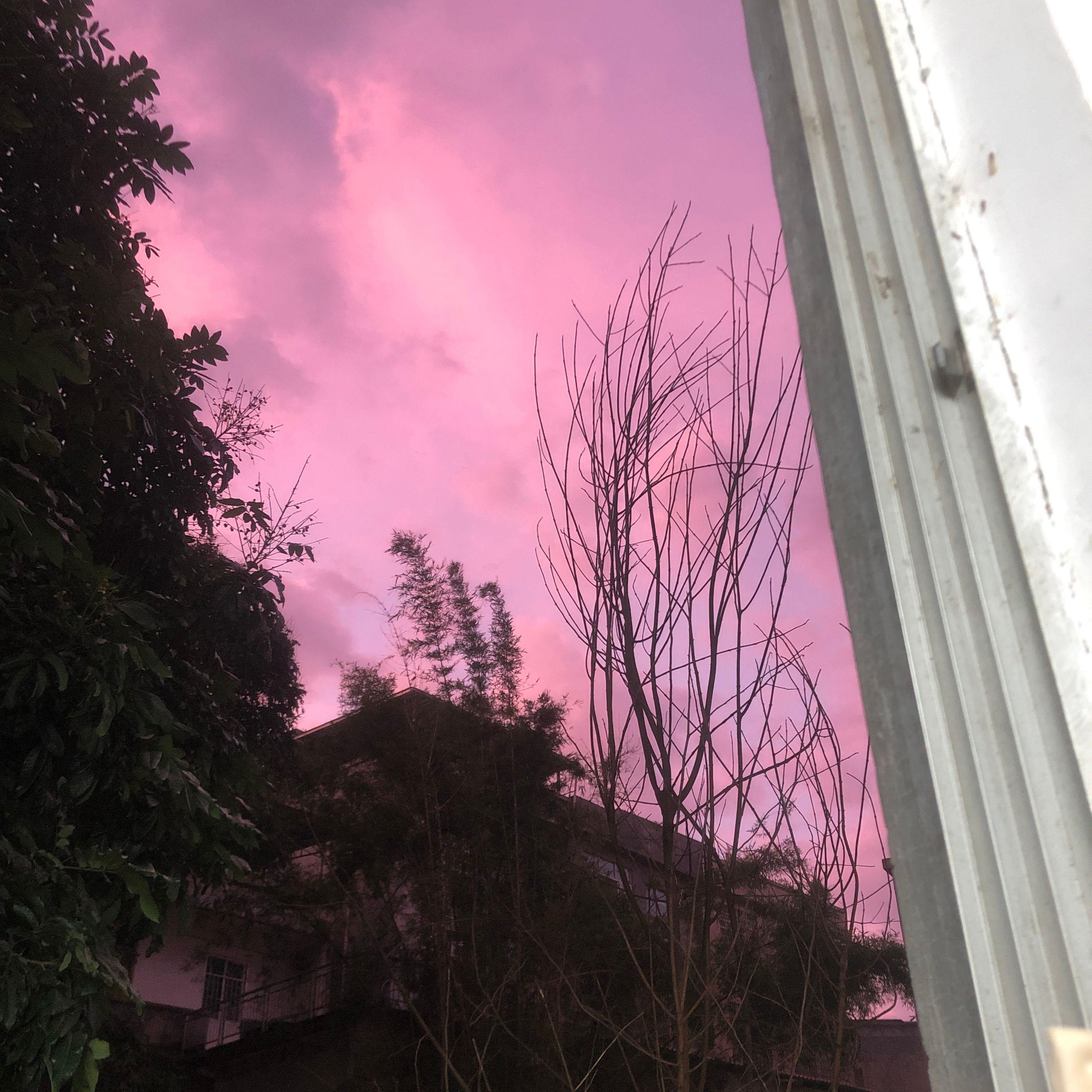 又想起你了（ft.lilcash)