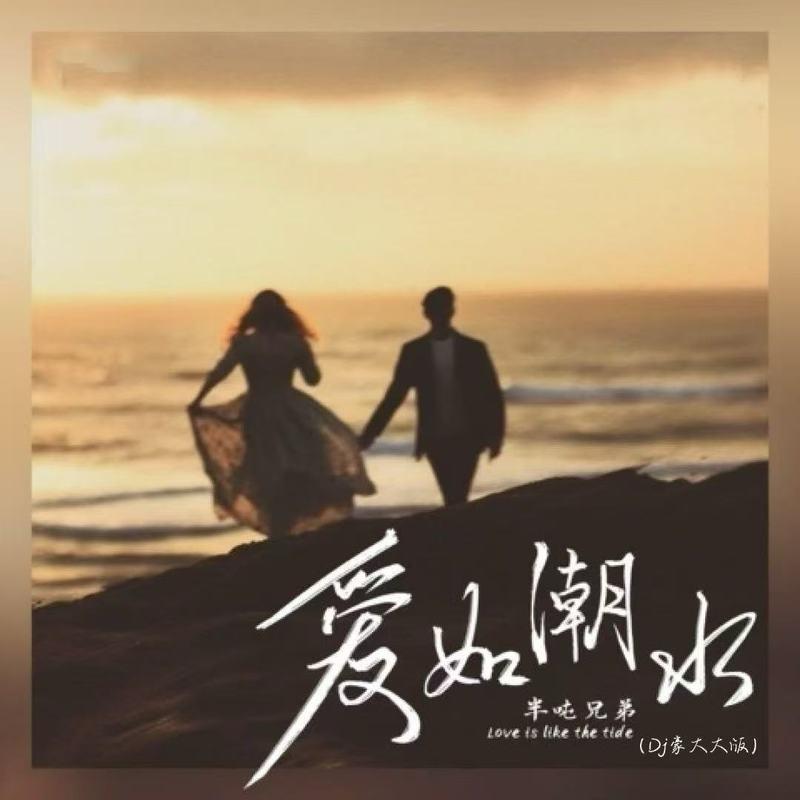 爱如潮水(DJ版)封面