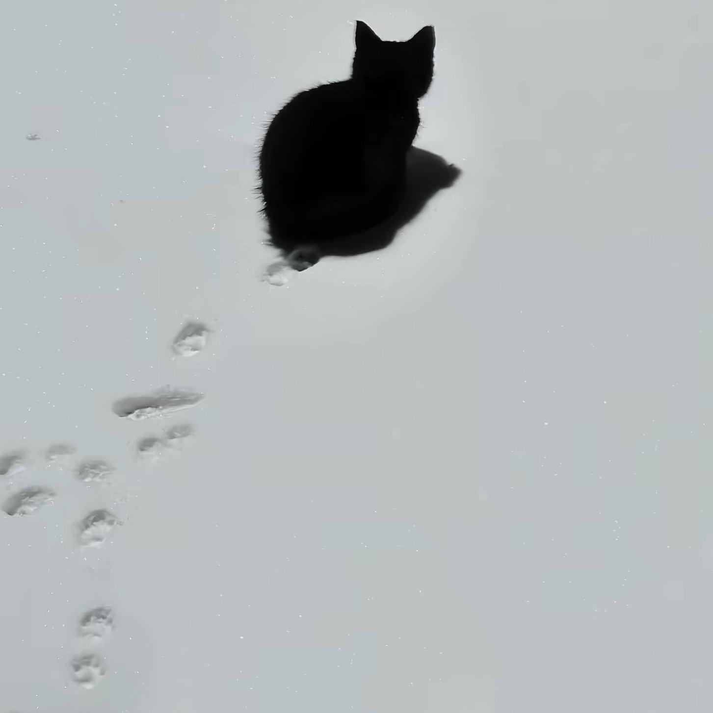 雪中初见 - PeiD封面