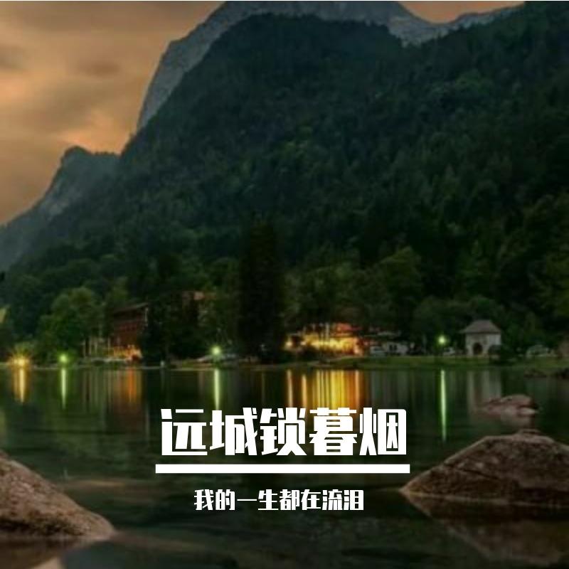 无奈放弃 - 我的一生都在流泪封面