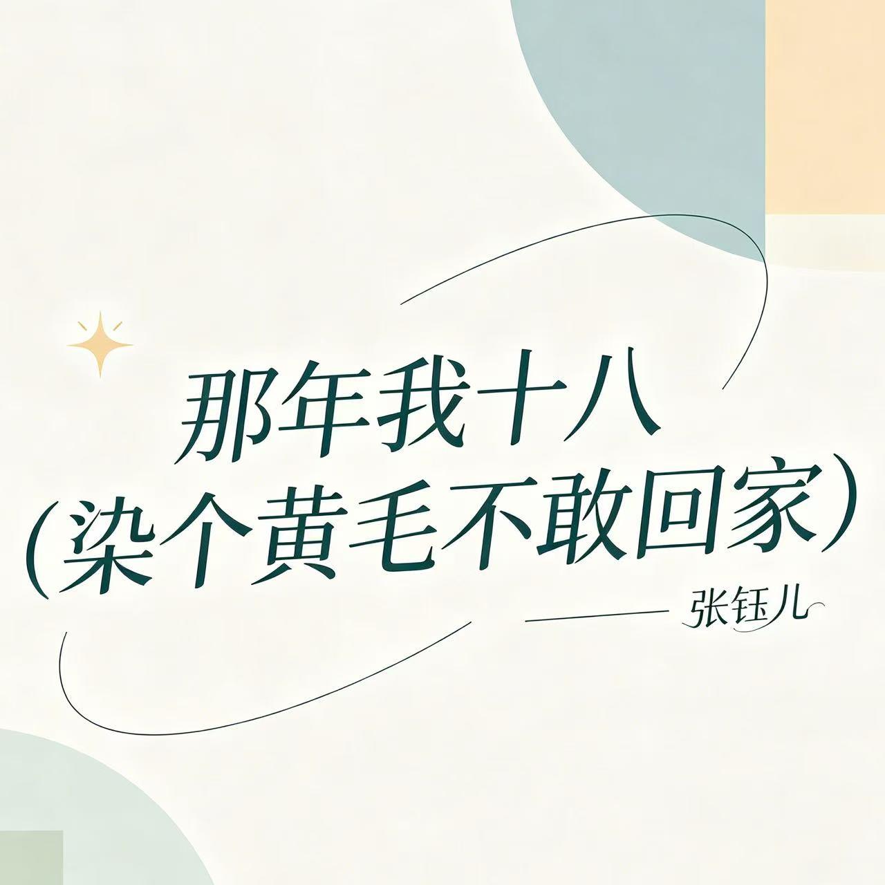 那年我十八（染个黄毛不敢回家）封面