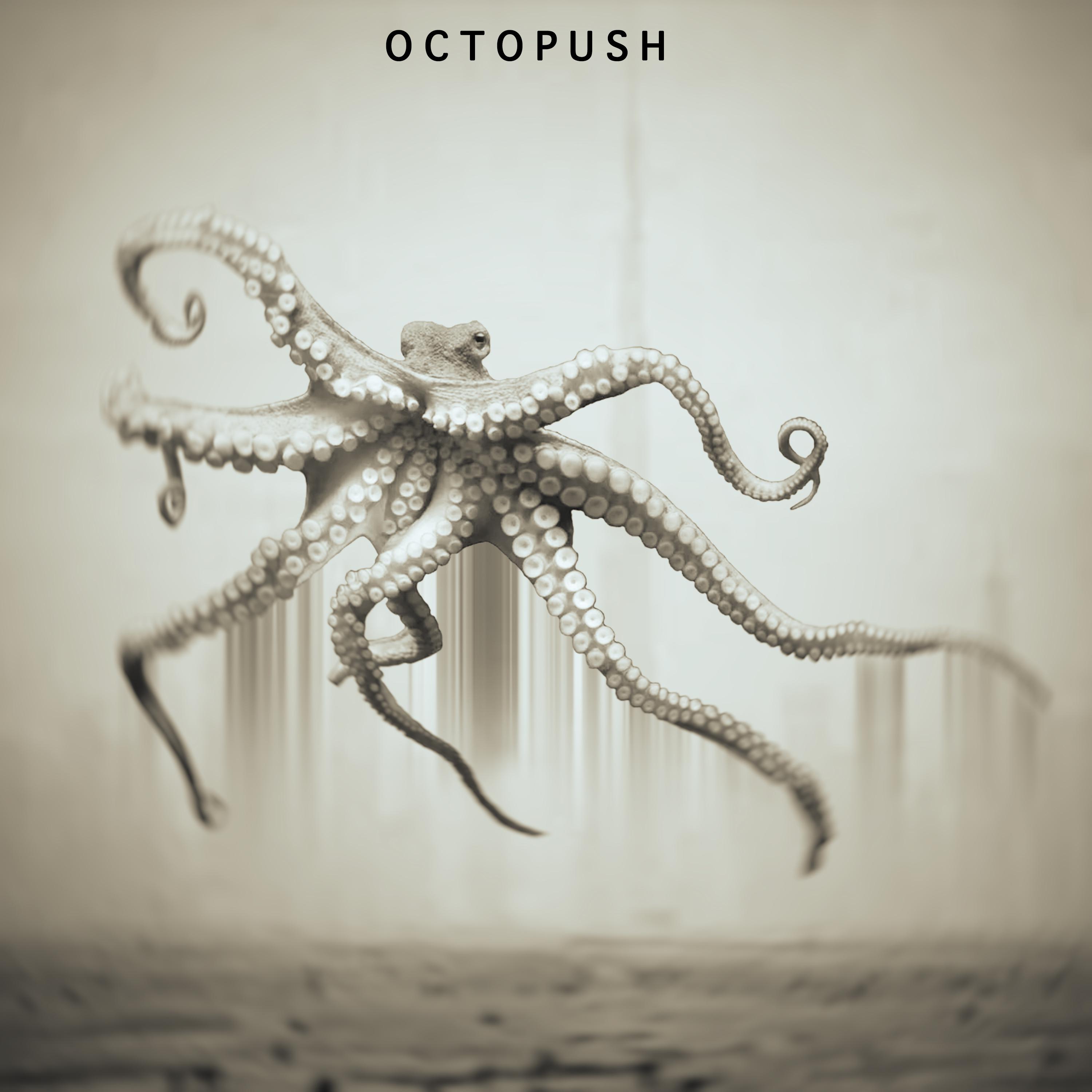 octopush - kilimantzaro - 单曲 - 网易云音乐