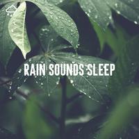 Rain Sounds Sleep