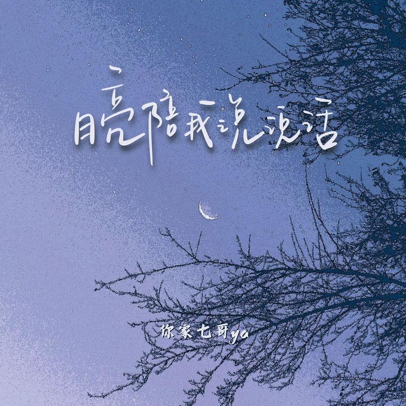 月亮陪我说说话 (伴奏)封面