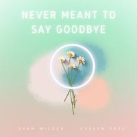 Never Meant to Say Goodbye