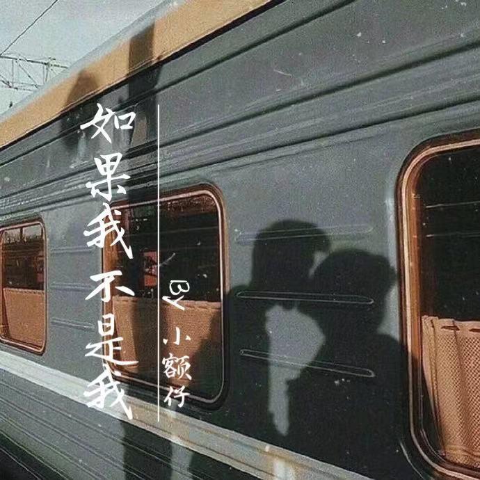 如果我不是我封面