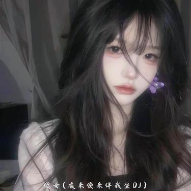 傻女 (DJ版)封面