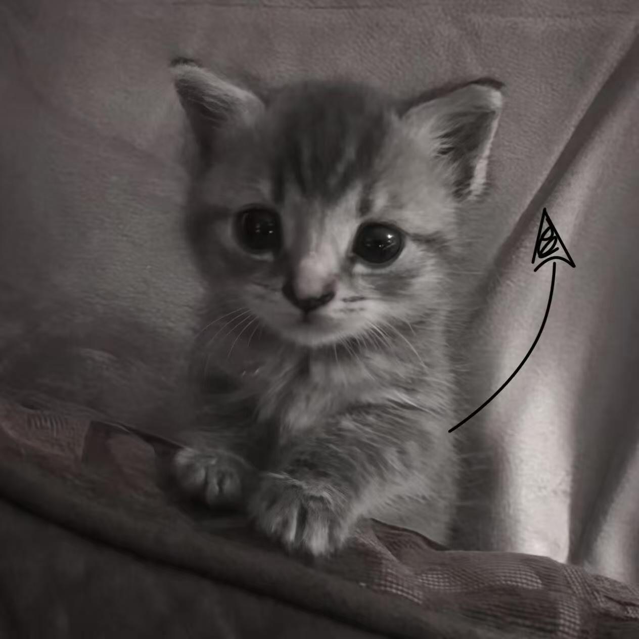 爱我真的很累所以你会丢掉我的