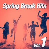 Spring Break Hits, Vol. 1