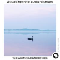 Take What's Yours (The Remixes)